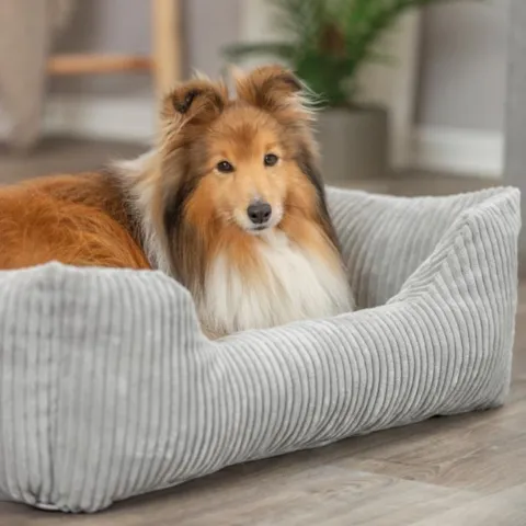 Trixie Jonna vital hundeseng i fløjl