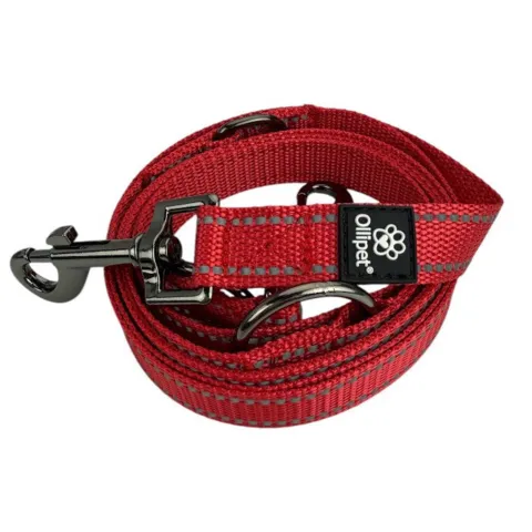 Ollipet Arctic Explorer | Refleks Dressurline