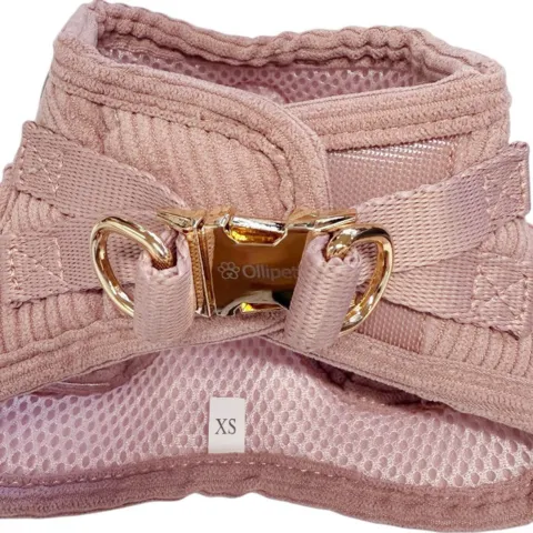 Ollipet Bijou Step-in hundesele | Fløjl og guld detaljer
