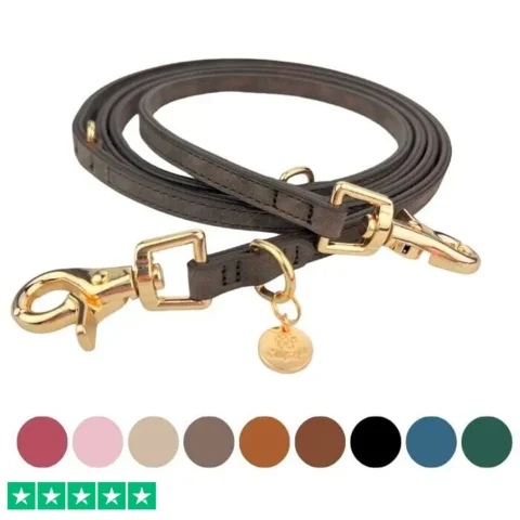 Ollipet Luxor Hundesnor