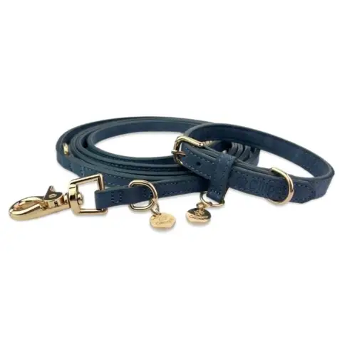 Ollipet Luxor Hundesnor