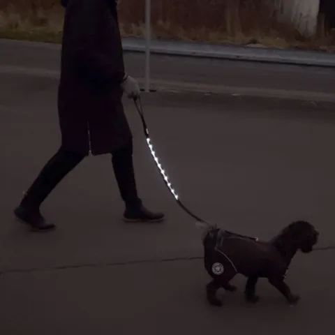 Ollipet hundesnor med LED-lys | Genopladelig | OUTLET