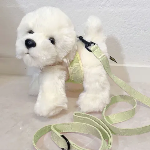 Pakketilbud | Ollie m. Sele og Hundesnor