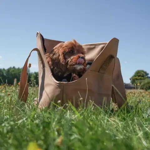 Ollipet Nice Hundetaske