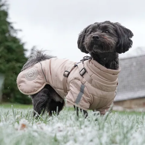 Ollipet Sirius DeLuxe Dynejakke Sand | OUTLET