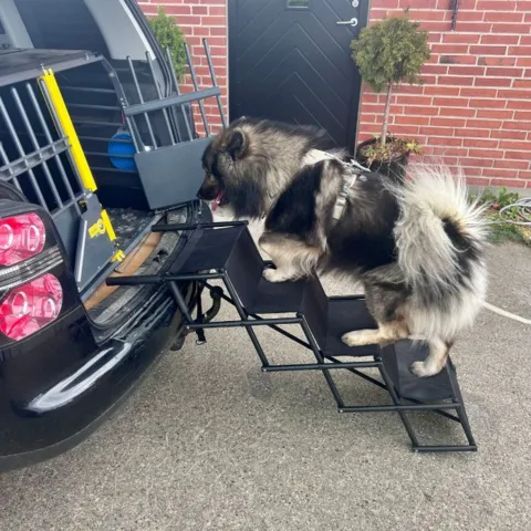 Foldbar hundetrappe til store hunde