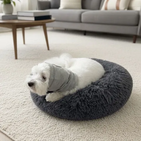 Ollipet Calm Hoodie