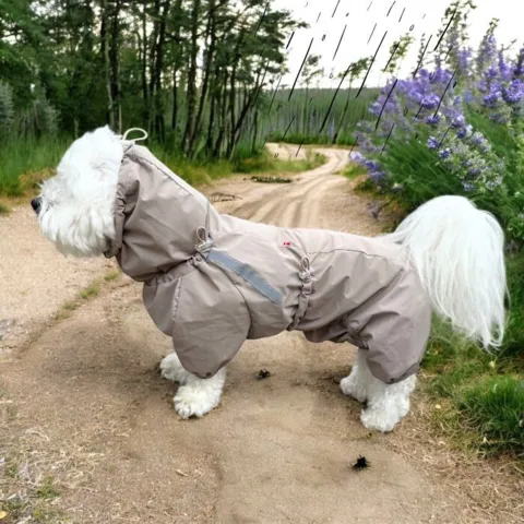 Ollipet Poncho Regndragt til Coton de Tulear i en str. small med korte ben