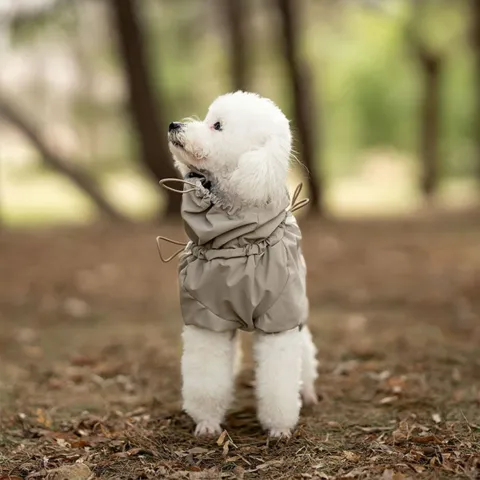 Ollipet Poncho Regndragt til Puddel
