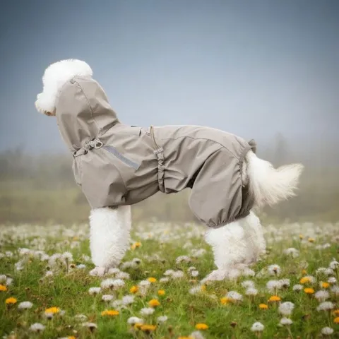 Ollipet Poncho Regndragt