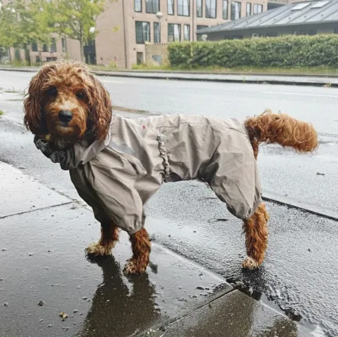 Ollipet Poncho Regndragt | Khaki