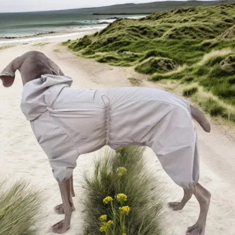 Ollipet Poncho Regndragt | Khaki