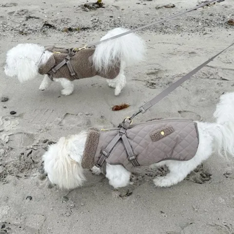 Ollipet Aarhus Hundejakke