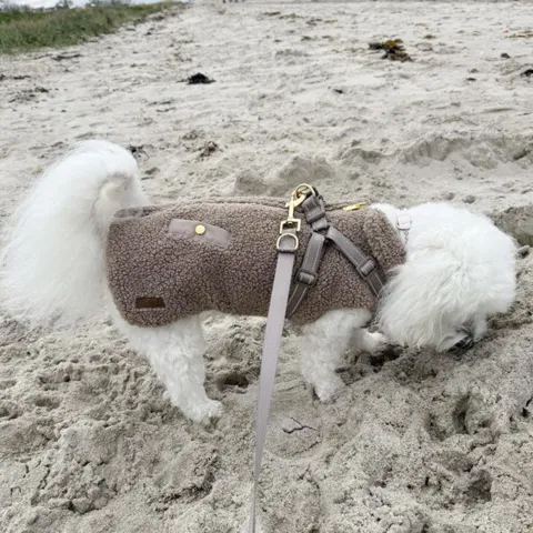 Ollipet Aarhus Hundejakke