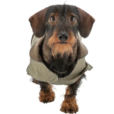 Trixie Hermy hundejakke