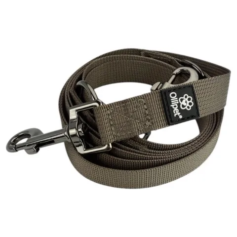 Ollipet | Dressurline