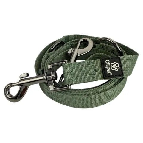 Ollipet | Dressurline
