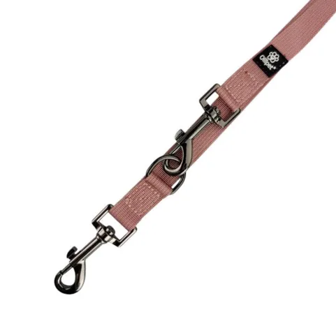 Ollipet | Dressurline