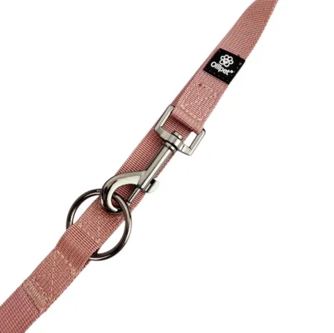 Ollipet | Dressurline