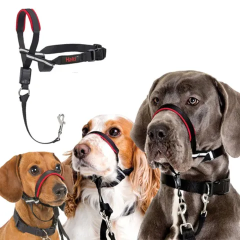 Halti Snudesele - store hunde