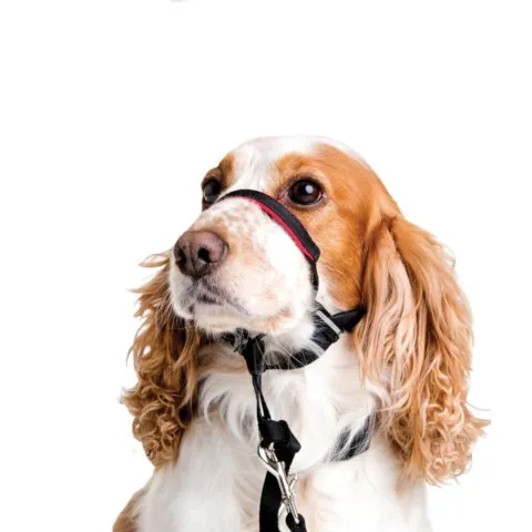 Halti Snudesele - mellemstore hunde