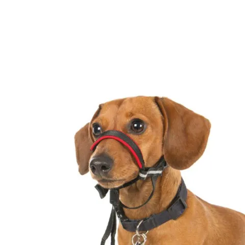 Halti Snudesele - små hunde
