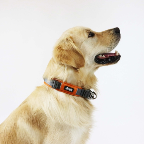 Dog Copenhagen Urban Explorer halsbånd | 2.0 Collar