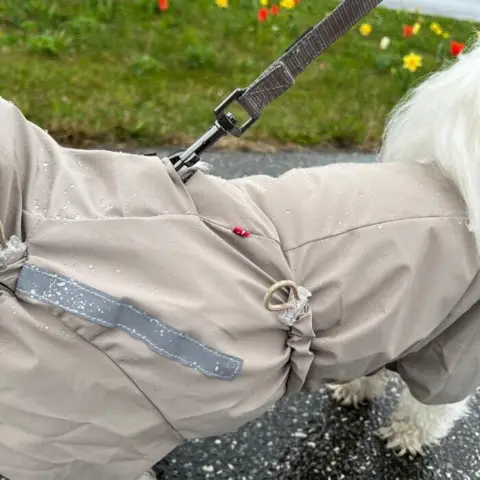 Pakketilbud | Ollipet Poncho m. snor
