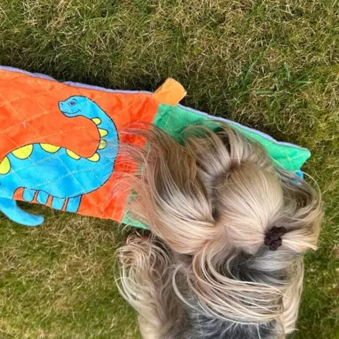 AFP T-REX Dino bog | Med knitrelyd og piv