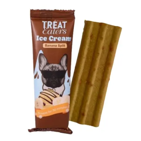 Treateaters Ice Cream | Hundeis