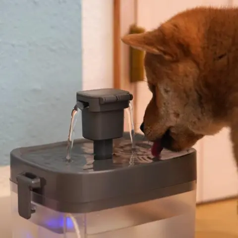 Ollipet Mini Pet Water Fountain