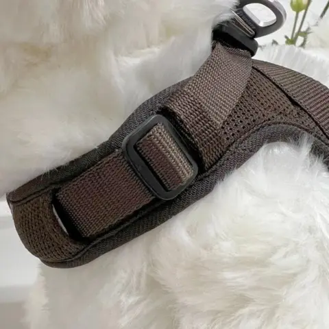 Justerbar hundesele fra Truelove.