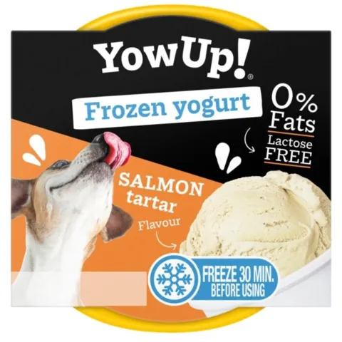 Laksetatar – frisk og velsmagende yoghurt-is til din hund eller kat