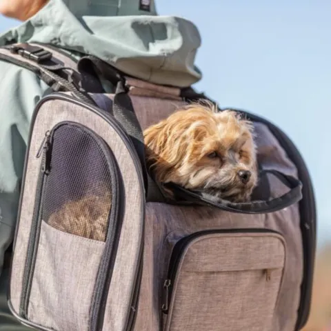 Trixie Shiva rygsæk til hunde | Khaki