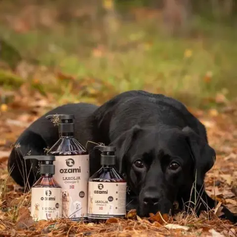 Omega-3 til hunde understøtter hud og pels.