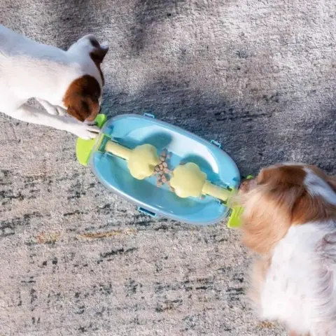 Med dette aktivitetsspil kan dine 2 hunde hygge sig sammen samtidigt med at de aktiveres mentalt.