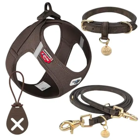 Et elegant sæt med hundehalsbånd, snor, sele og hundeposeholder alt sammen i moderne farver.