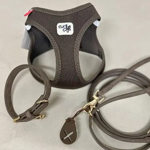 Smart step-in hundesele fra Curli, Halsbånd og snor fra Ollipet og hundeposeholder fra Dog Copenhagen
