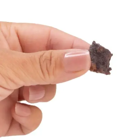 Snack'it Rådyrterninger Deluxe | 100g