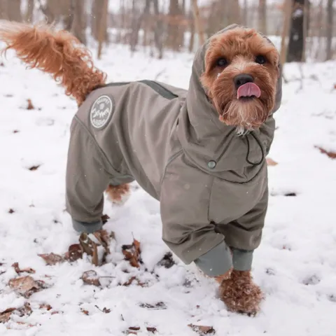 Ollipet Doodle rain coat med refleks også til snevejr