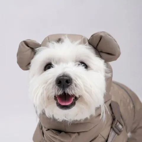 Ollipet Mini Grizzly Bear Flyverdragt
