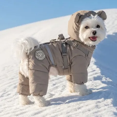 Ollipet Mini Grizzly Bear Flyverdragt