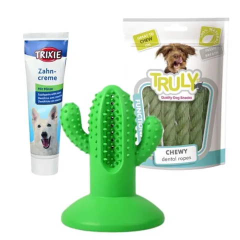 Pakketilbud | Ollipet Tandpleje & Tyggeleg