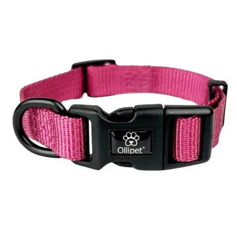 Ollipet For Wagging Tails | Halsbånd