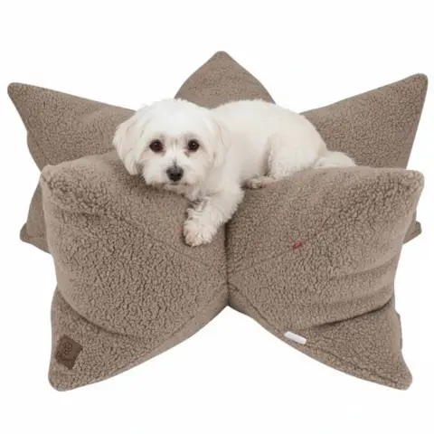 Bomuldshund i Ollipet StarNest Teddy Hundeseng