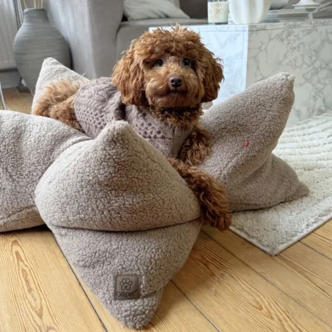 Molly elsker sin bløde StarNest teddy seng