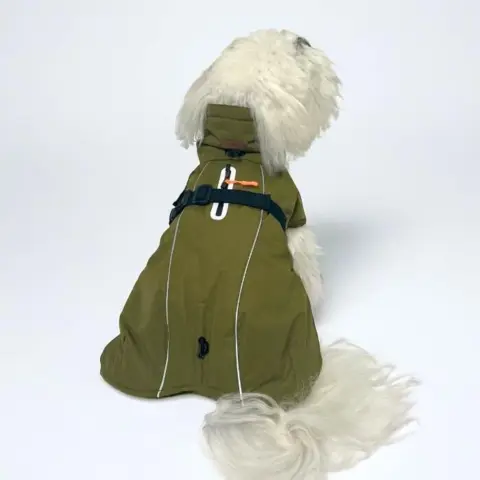 Med mange fede detaljer