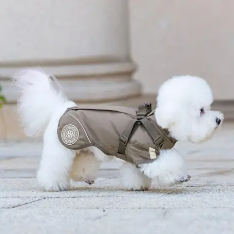 Ollipet Aqua Explorer Regnjakke med sele 2.0 - den perfekte regnjakke til din hund