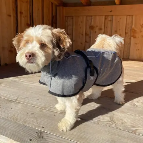 Back on Track BARK Softshell hundedækken | Fuld Refleks
