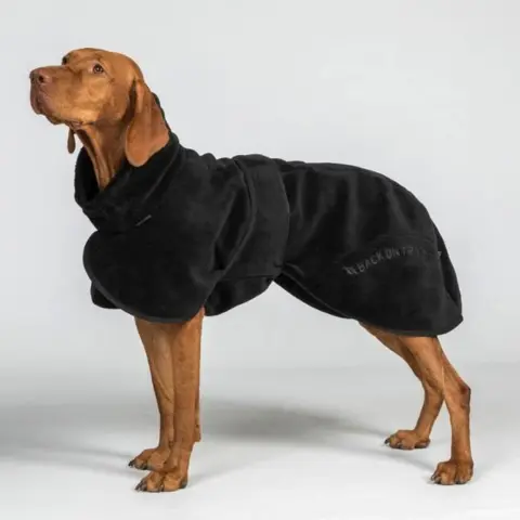 Beskyt din hund mod kulde og fugt med BAY tørredækken – ideelt til aktive hunde, der ofte bliver våde
